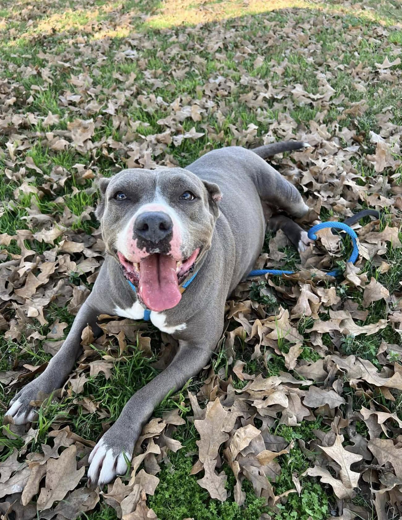 Star — thumbnail 5