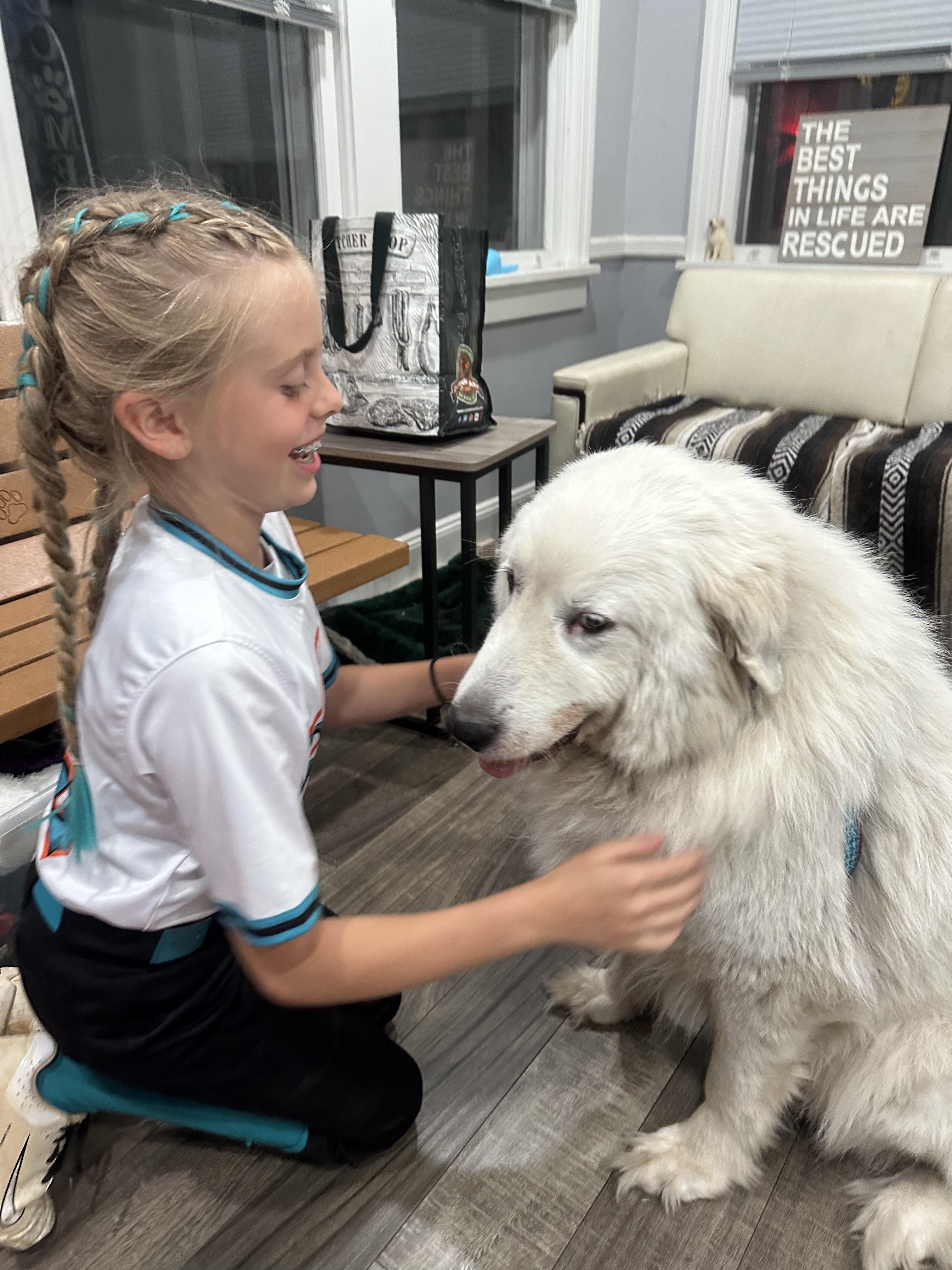 Winnie, an adopted Great Pyrenees in Mahwah, NJ image 3/6