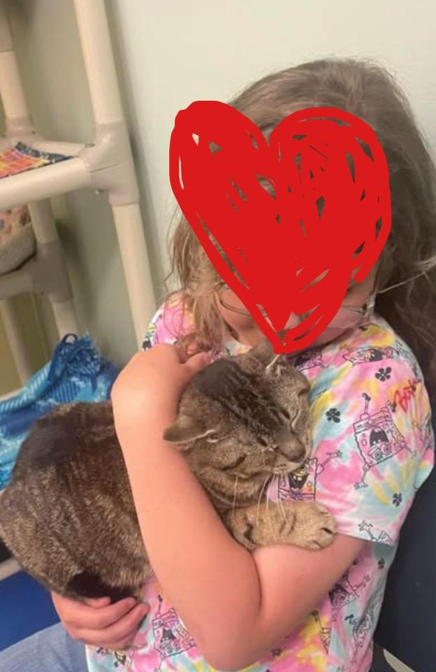 REACHER, a Adoptable mixed breed in Muskegon, MI image 6/6