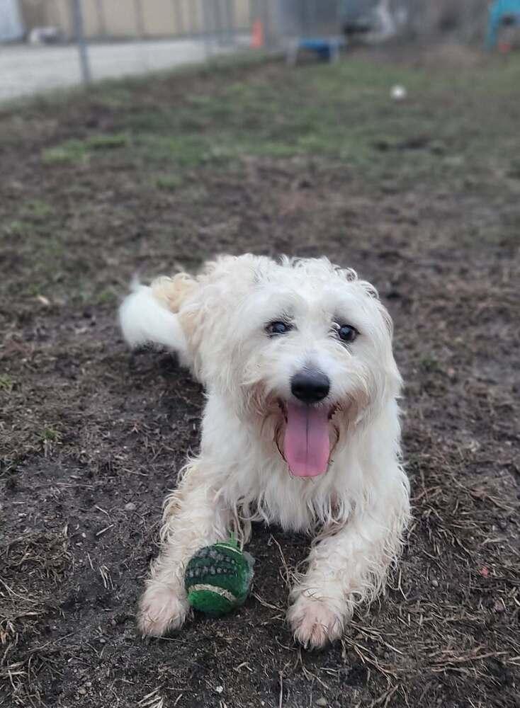 Rocky 2.0 — thumbnail 3