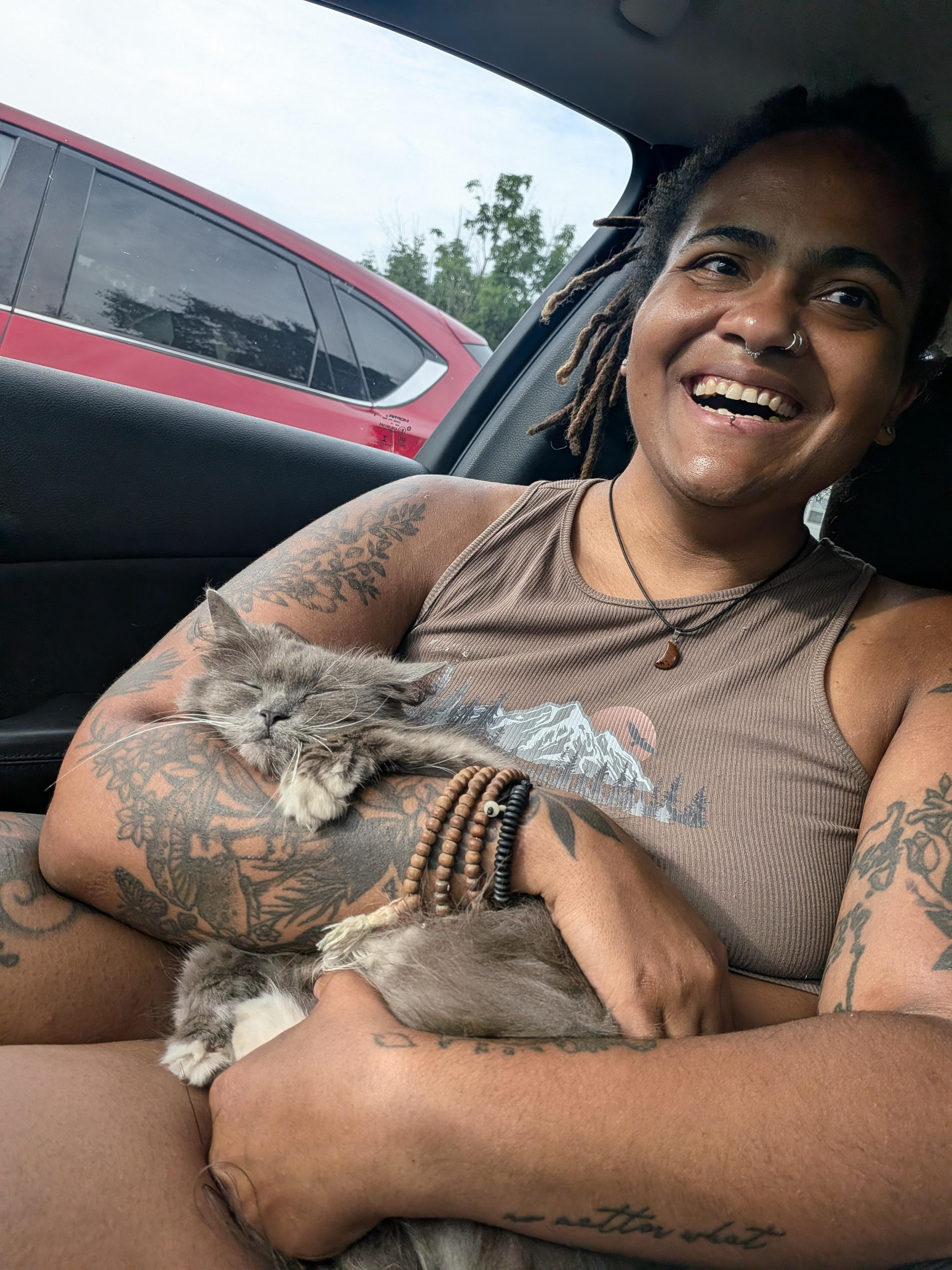 Enlarge Trooper, an adopted Domestic Long Hair in Indianapolis, IN image 6/6