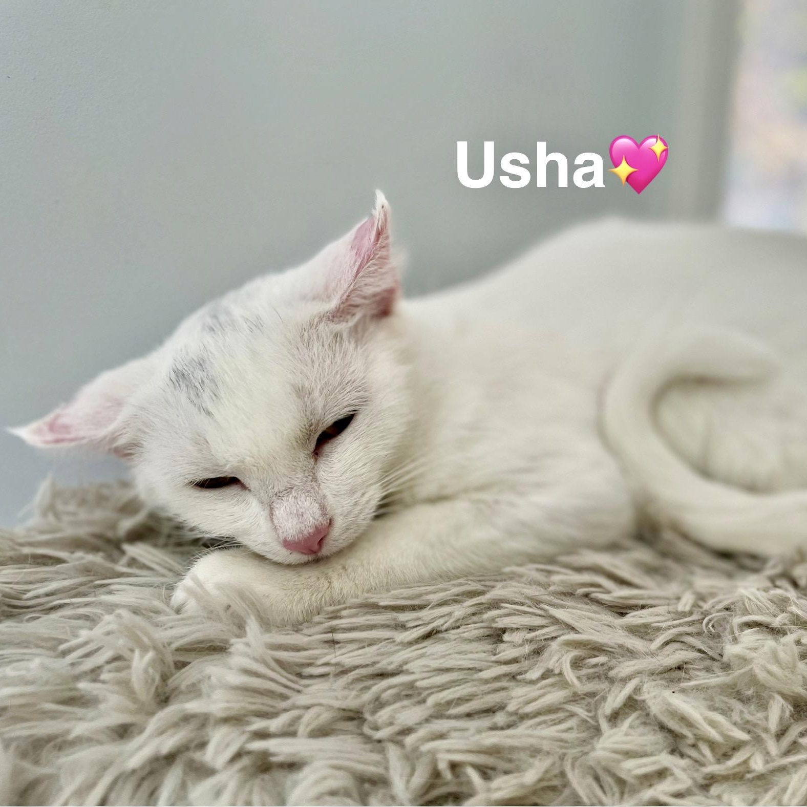 Usha