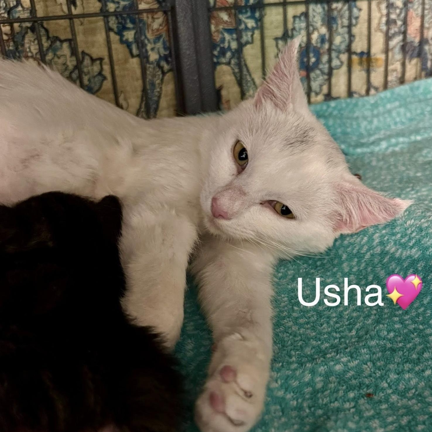 Usha