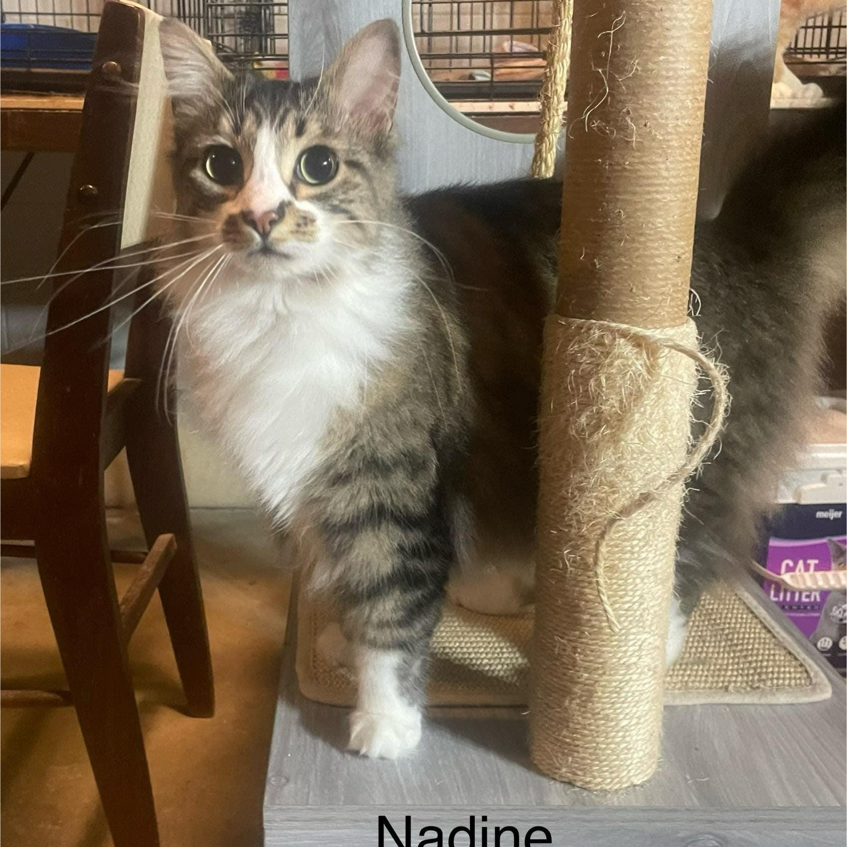 Nadine *** Beautiful ***