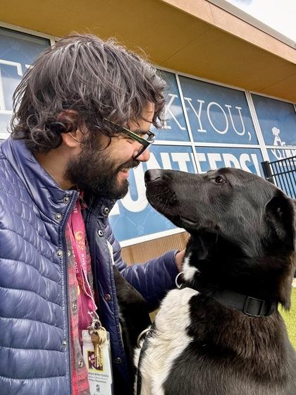 Enlarge Lester, a Adoptable mixed breed in Wichita, KS image 3/3