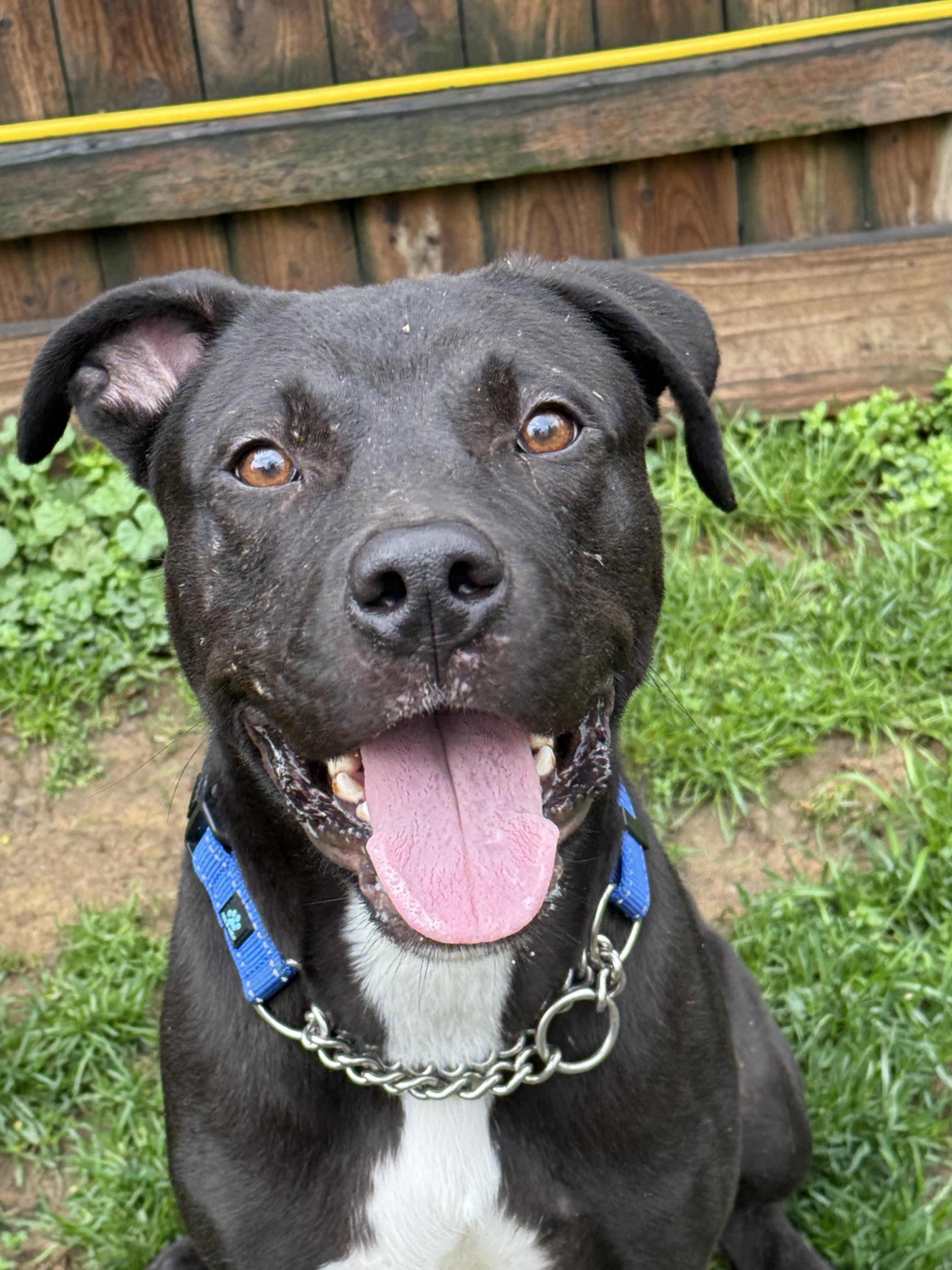 Daniel — thumbnail 2