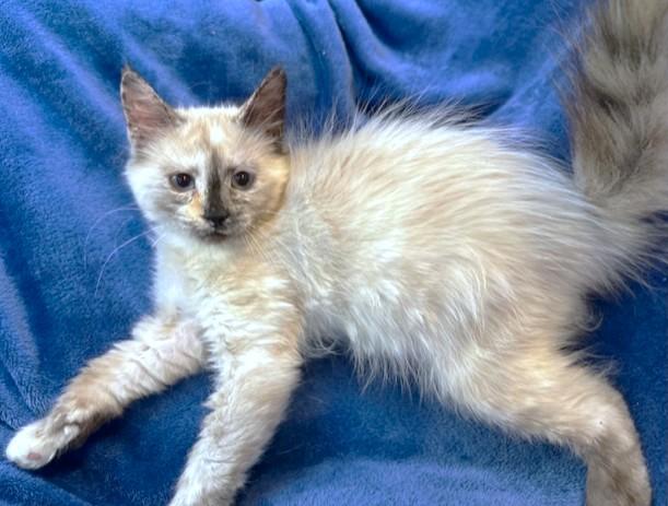 Cuddly Clarice  Remarkable thumbnail 3