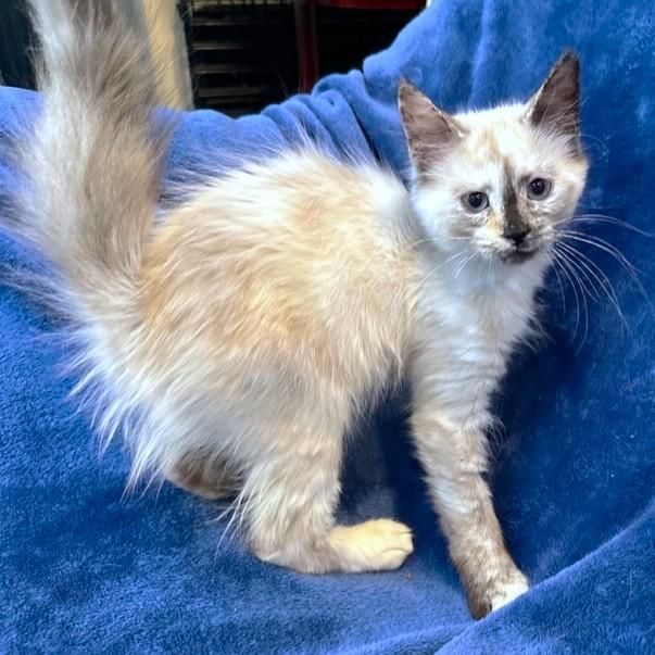 Cuddly Clarice  Remarkable thumbnail 5