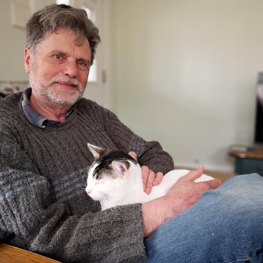 Enlarge Treat, a Adoptable Domestic Short Hair in Edwardsville, IL image 4/6