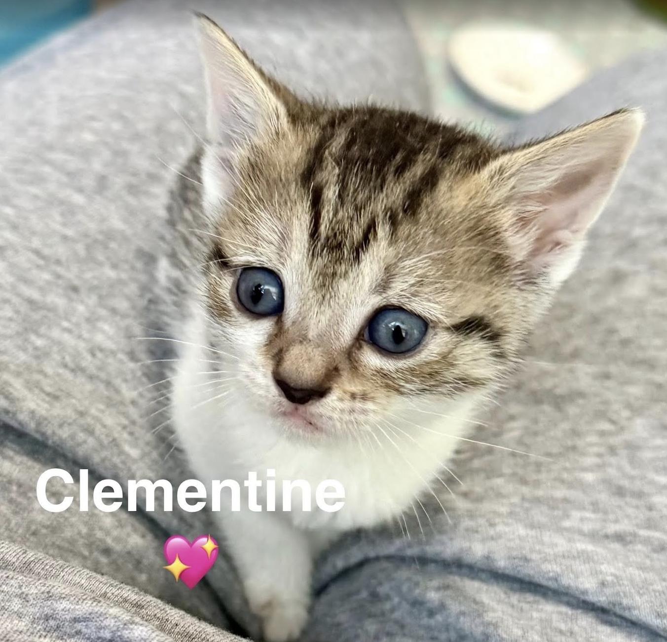 Clementine