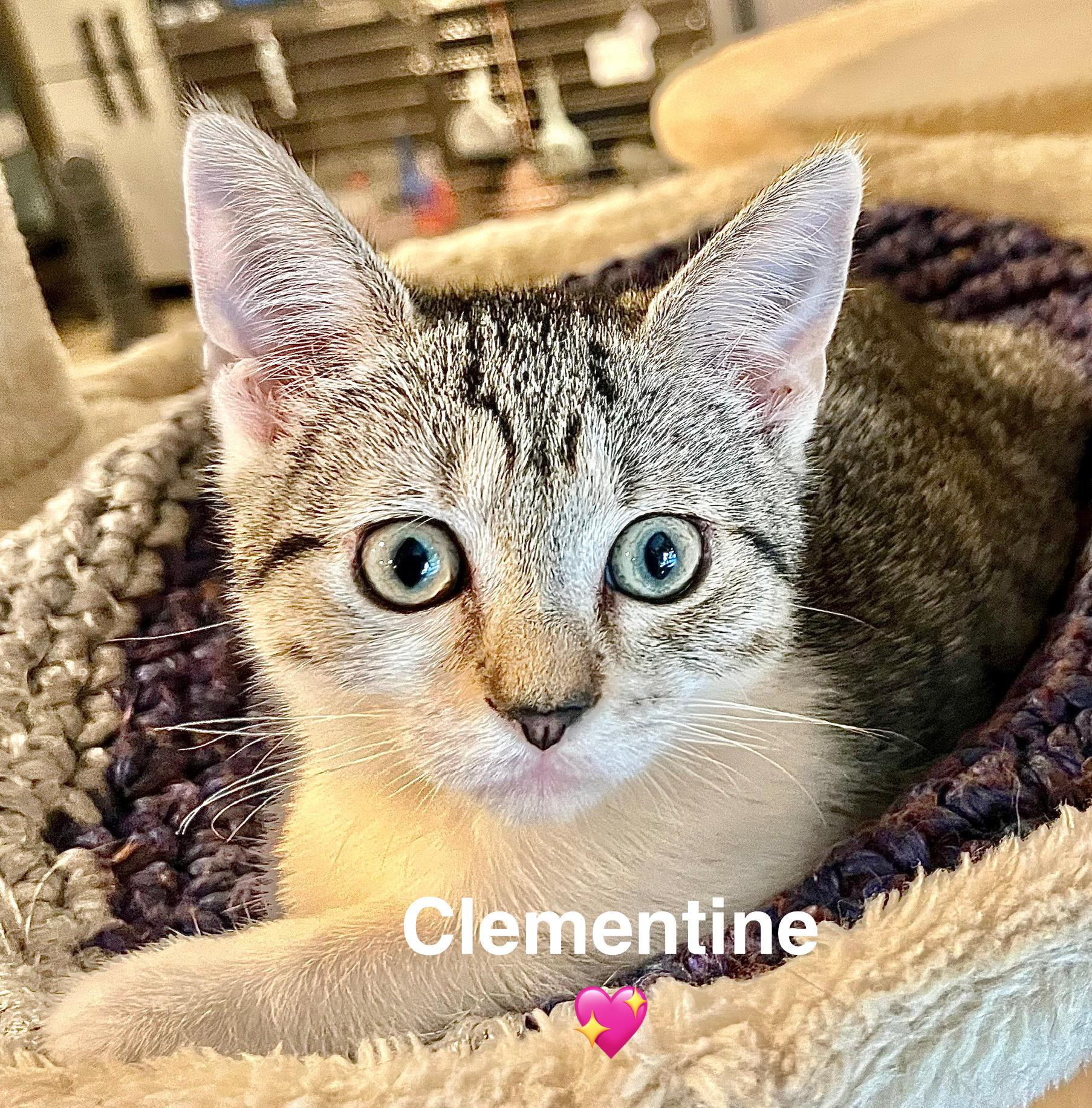 Clementine