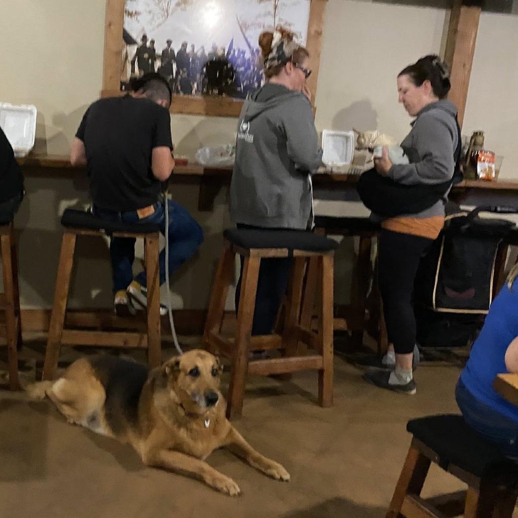 Enlarge Loca, a Adoptable German Shepherd Dog in Ramona, CA image 6/6