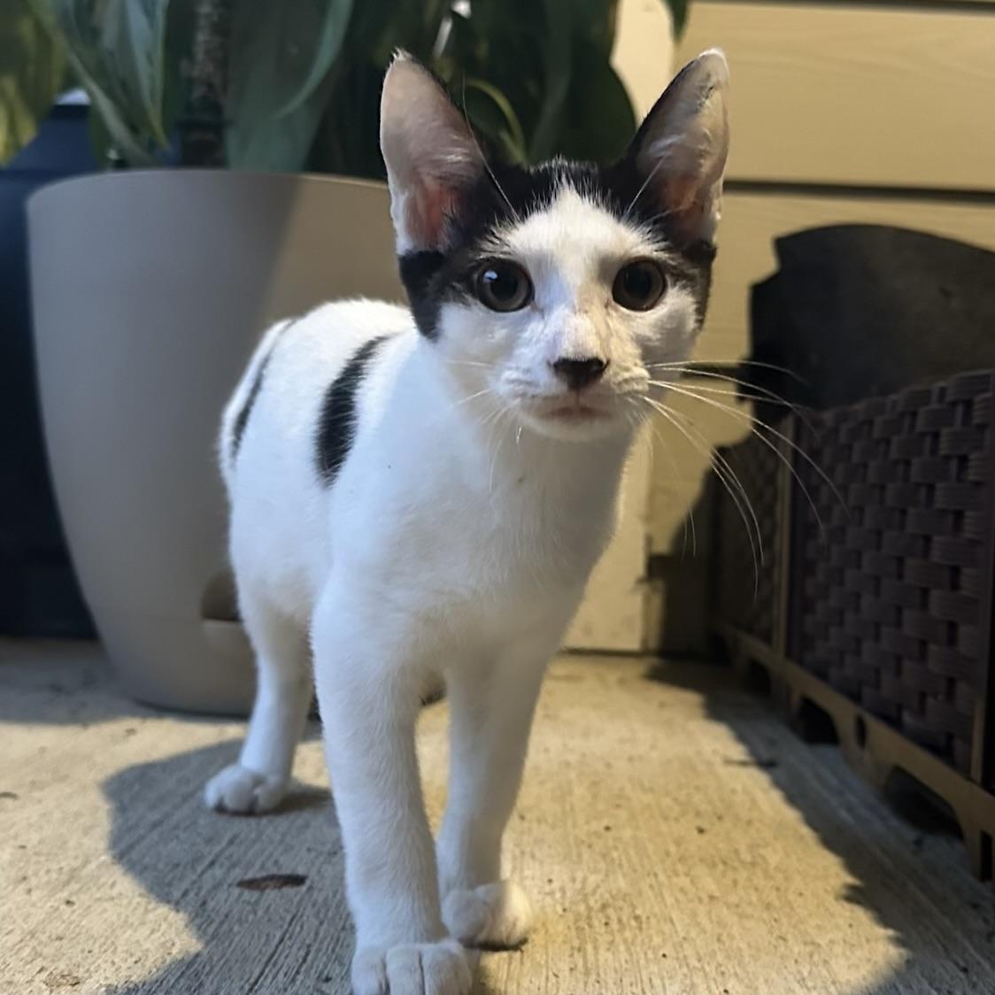 Haven — thumbnail 6