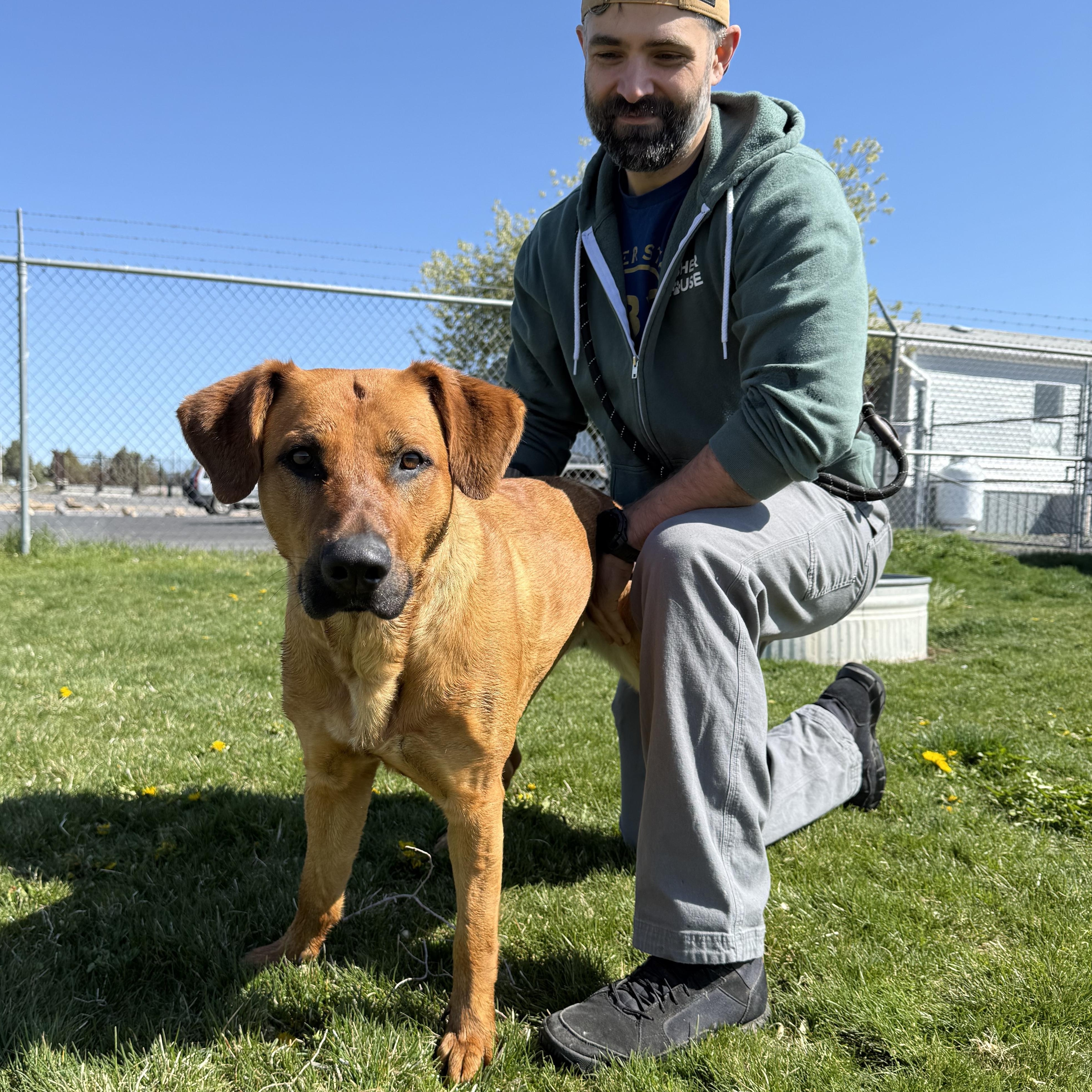 Enlarge Willow, a ADOPTABLE mixed breed in Prineville, OR image 2/6