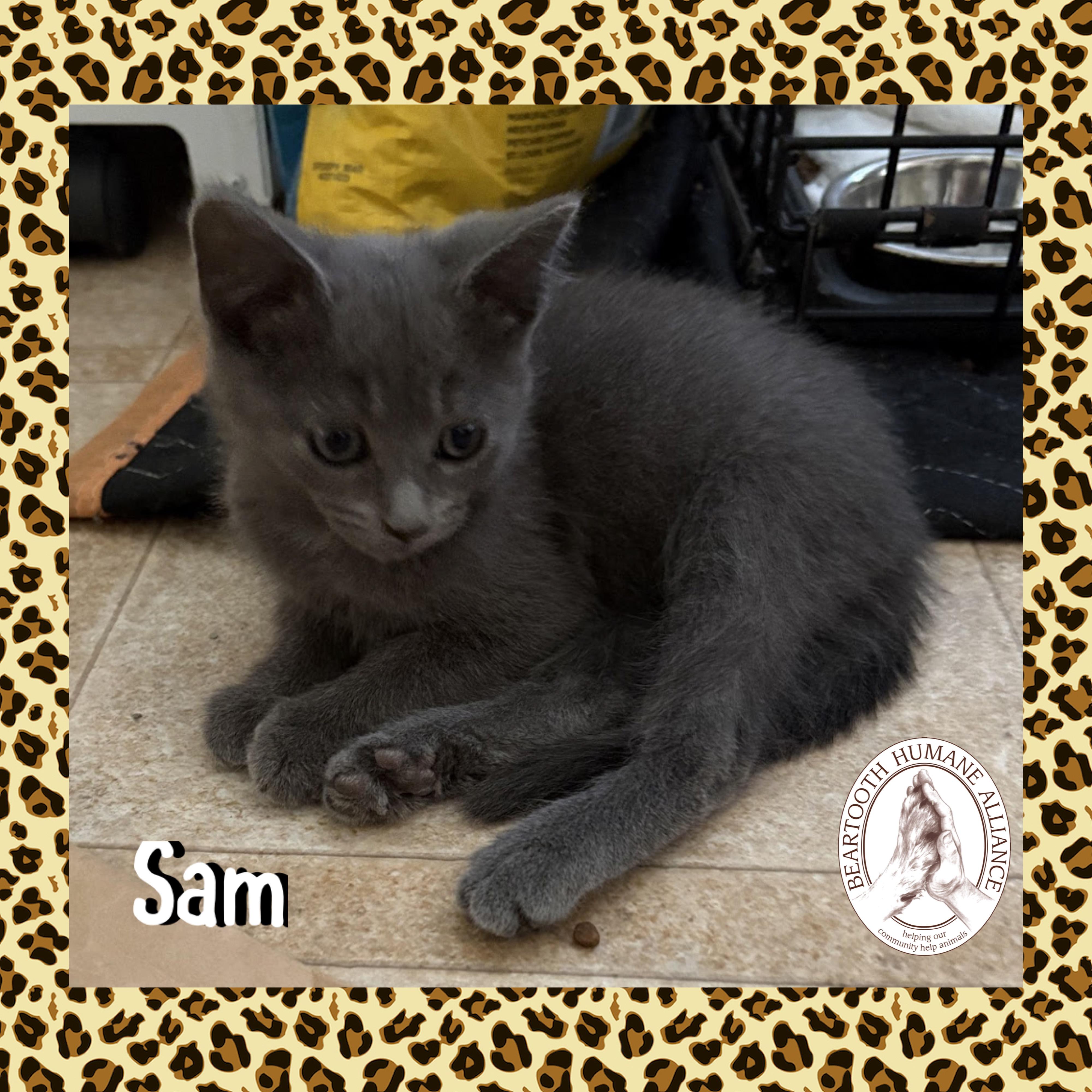 Sam, Baby Male unknown