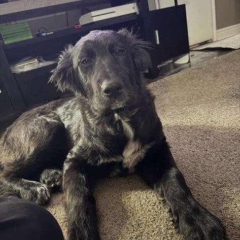 Martinique (20250612-03)