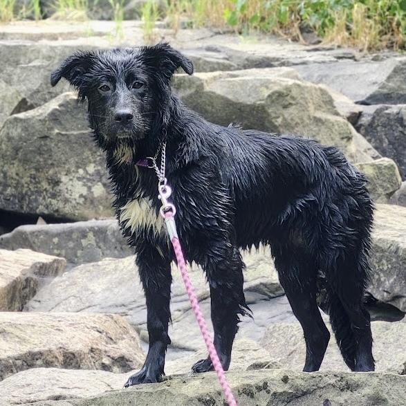 Martinique (20250612-03)