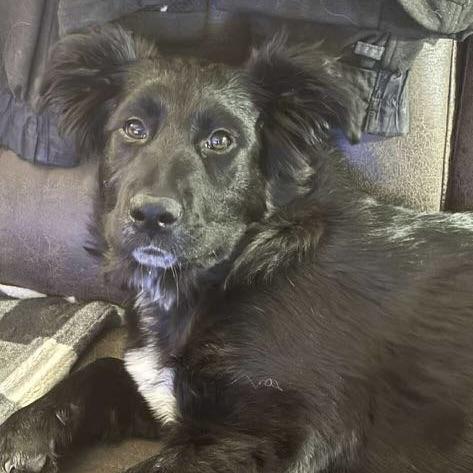 Martinique (20250612-03)