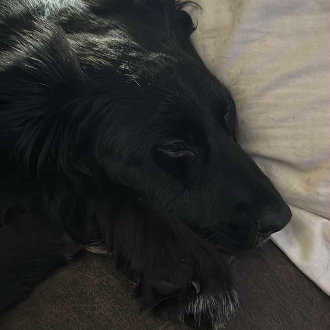 Martinique (20250612-03)