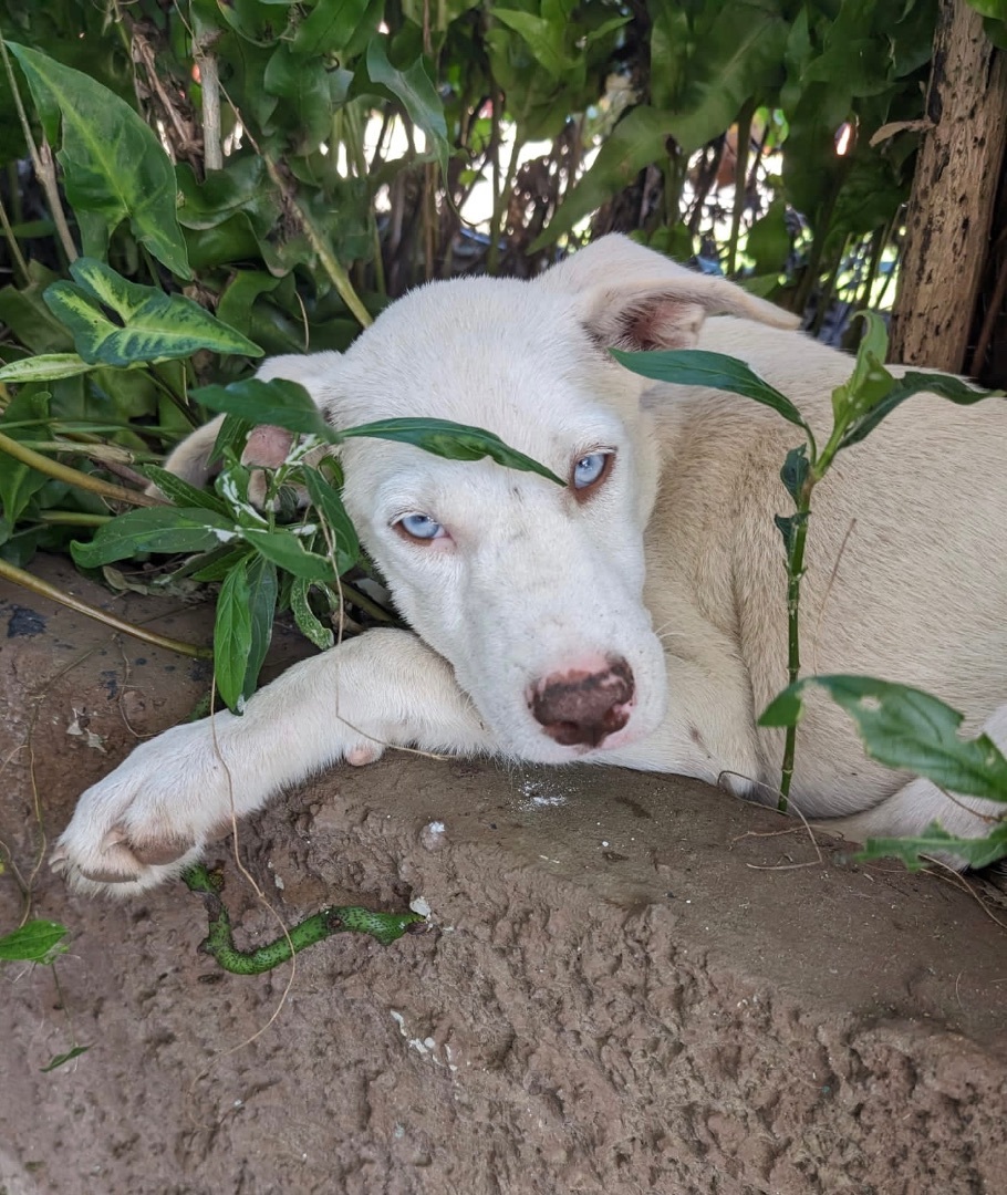 Dale "your Boy!" thumbnail 2