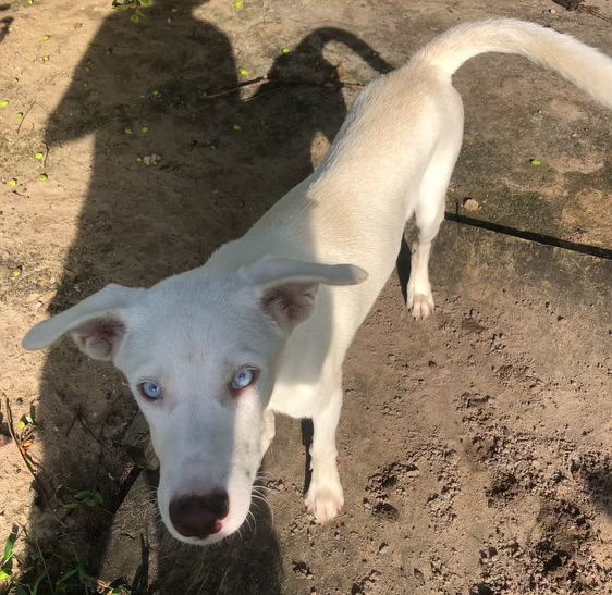 Dale "your Boy!" thumbnail 3