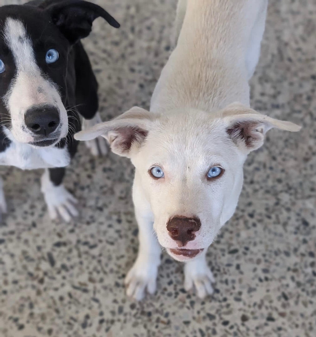 Dale "your Boy!" thumbnail 4