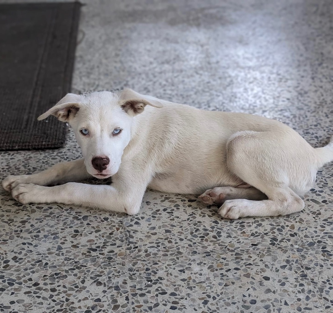 Dale "your Boy!" thumbnail 6