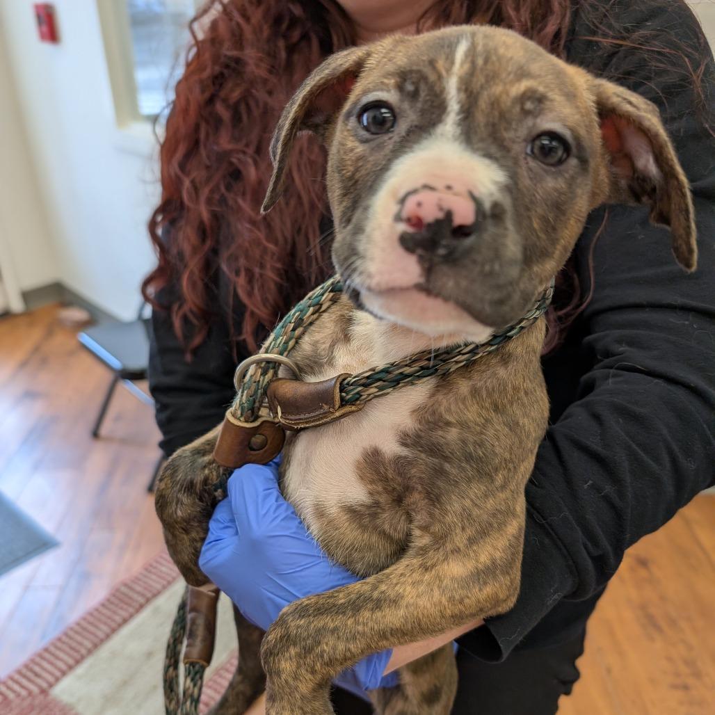 Florence — thumbnail 2