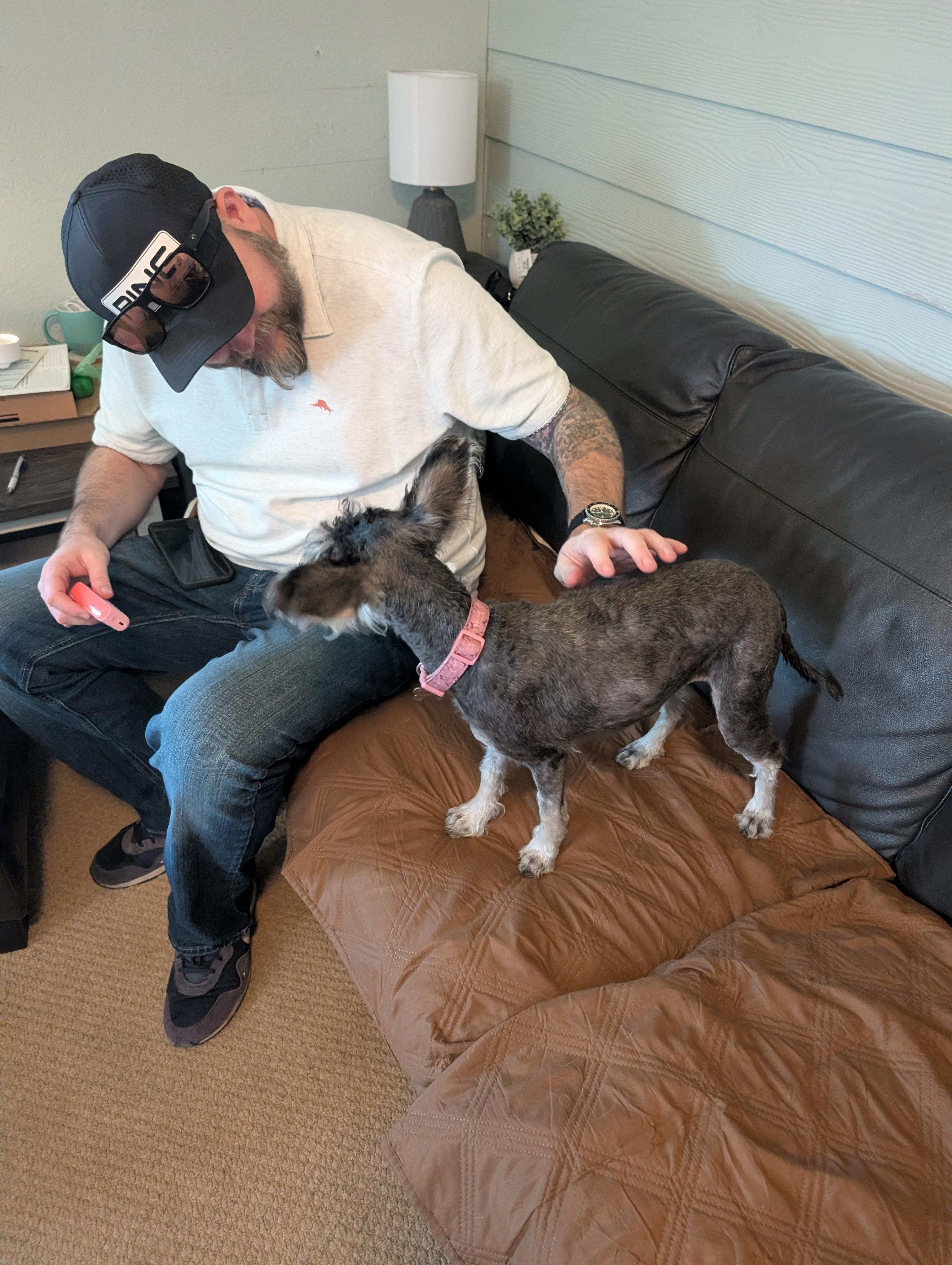 Enlarge Zoe, an adopted mixed breed in Austin , TX image 5/6