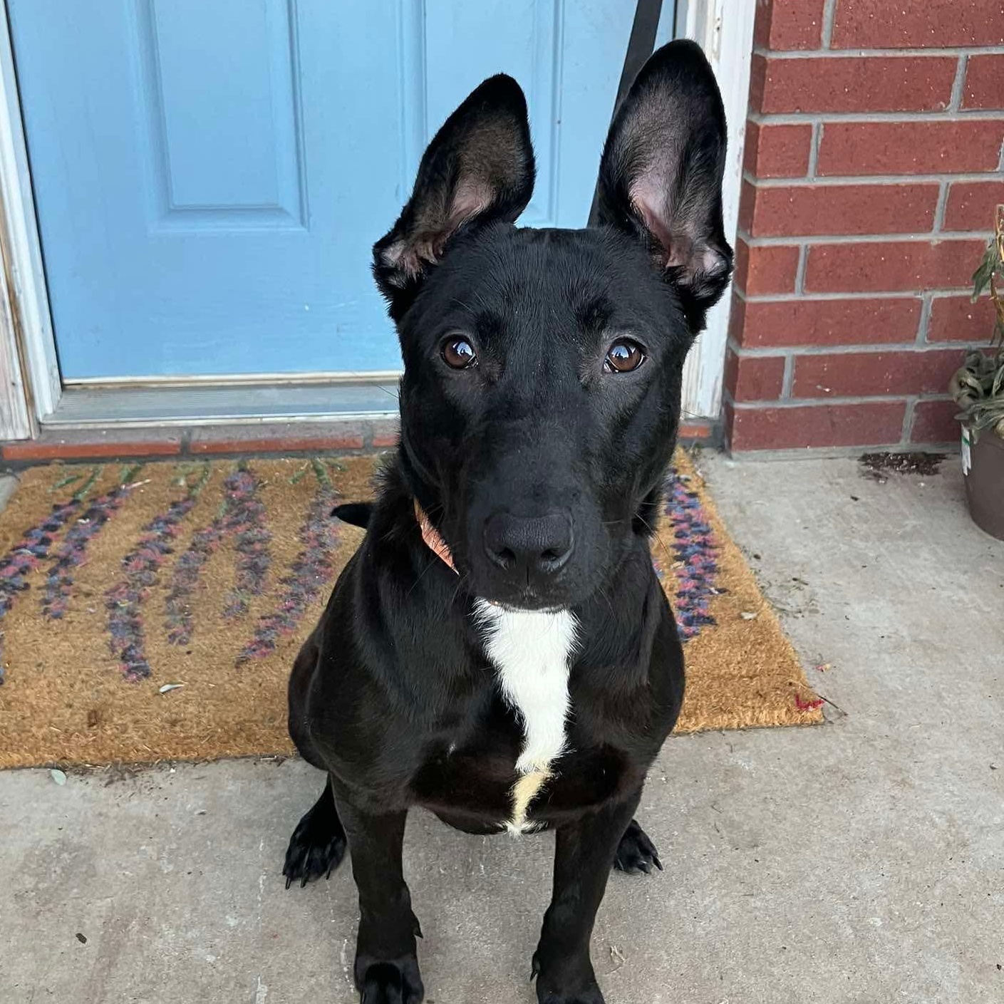 Terri — thumbnail 5