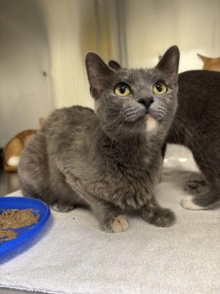 Stardew Valley thumbnail 3