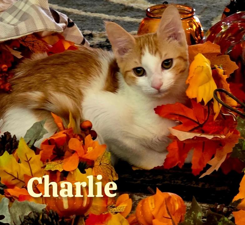 Charlie
