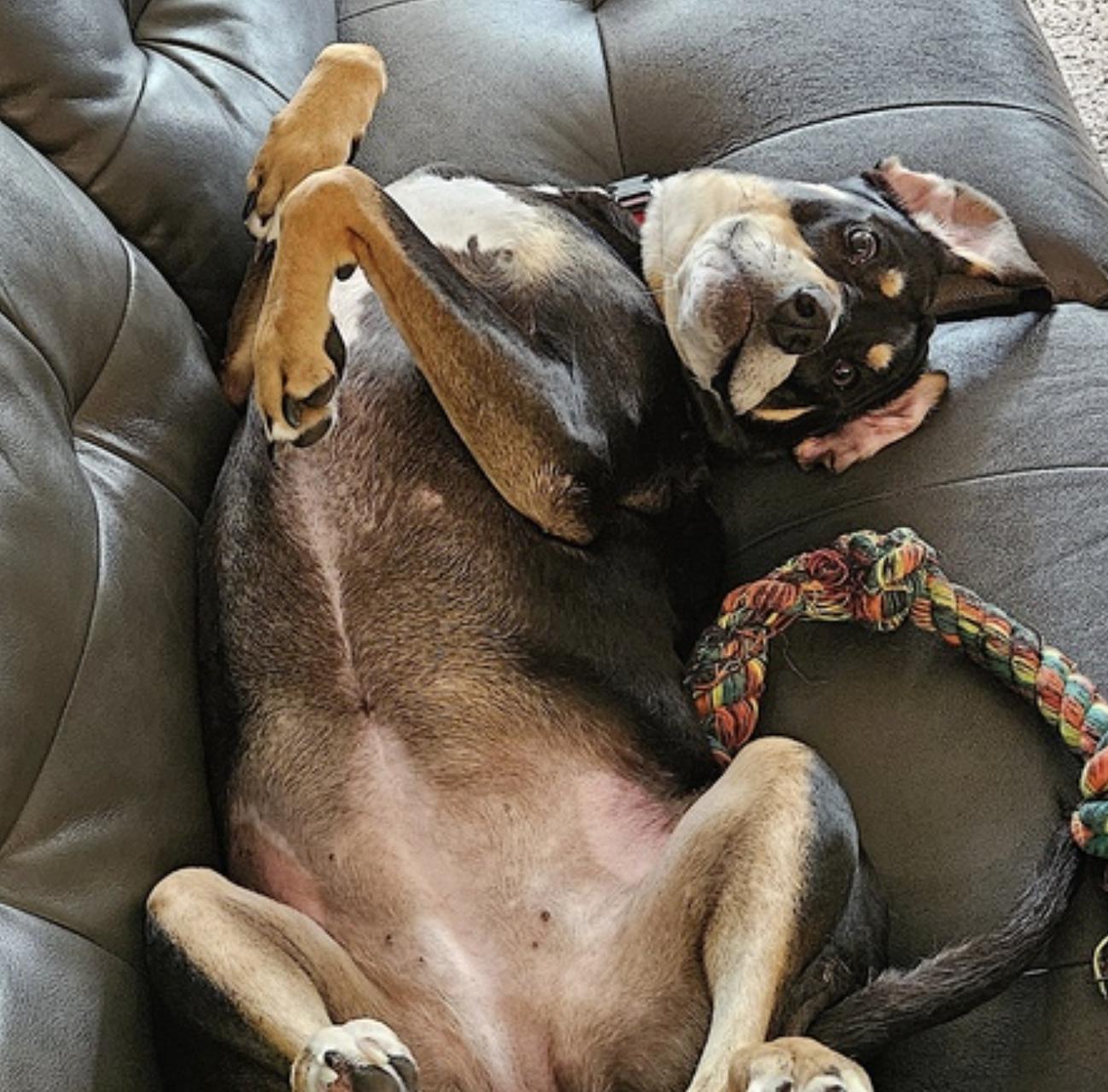 Penny — thumbnail 2