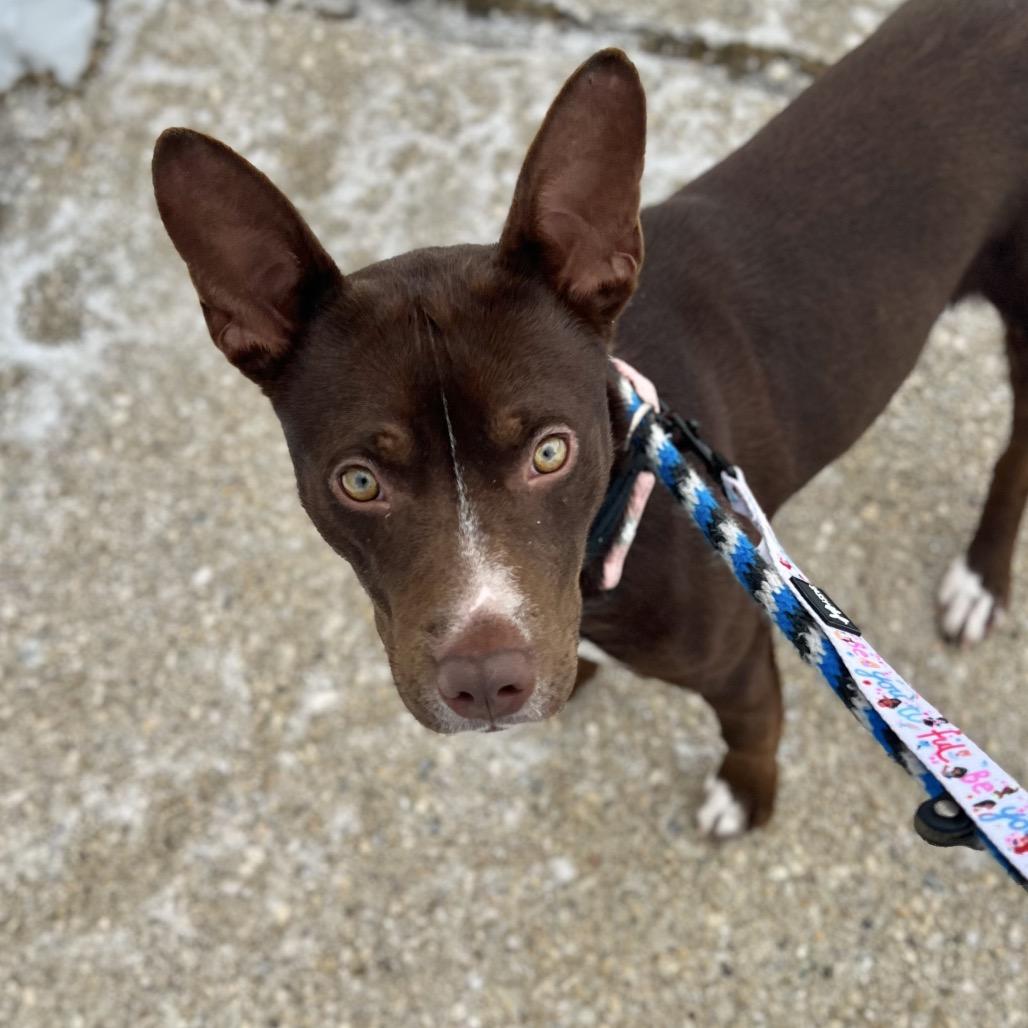 Cadbury — thumbnail 3