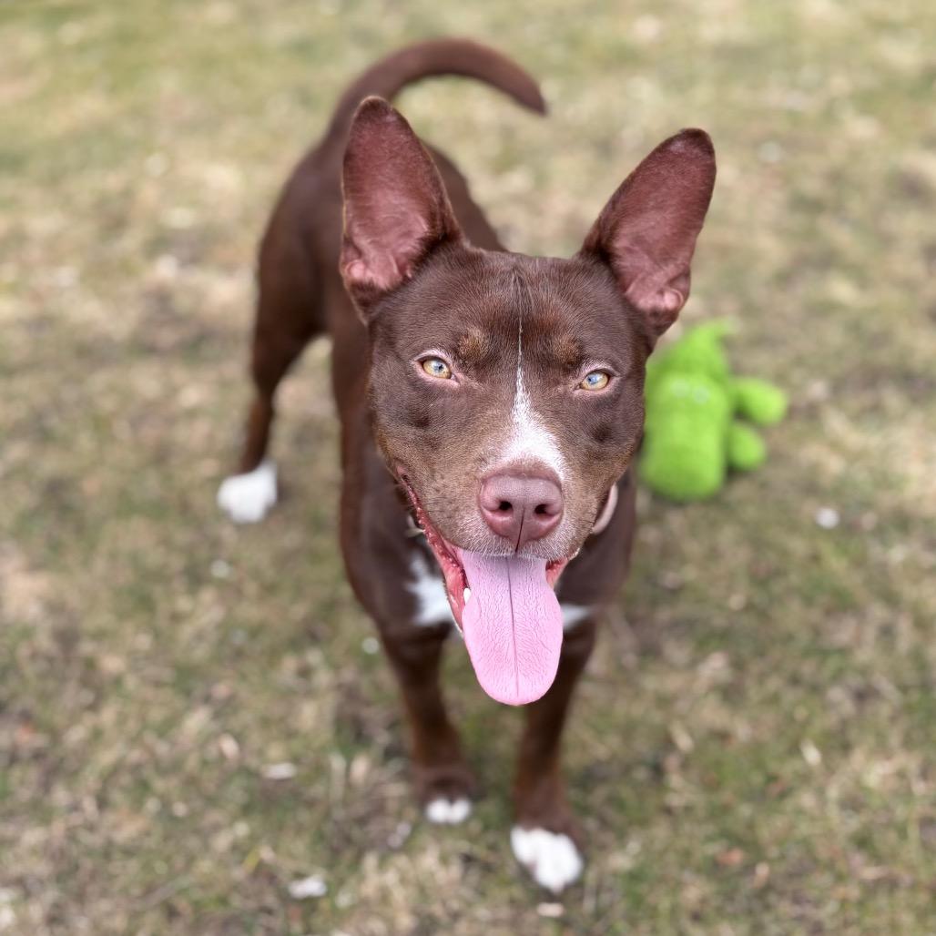 Cadbury — thumbnail 5