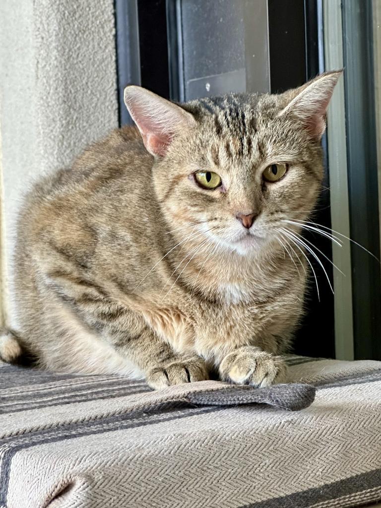 Duma Key thumbnail 5