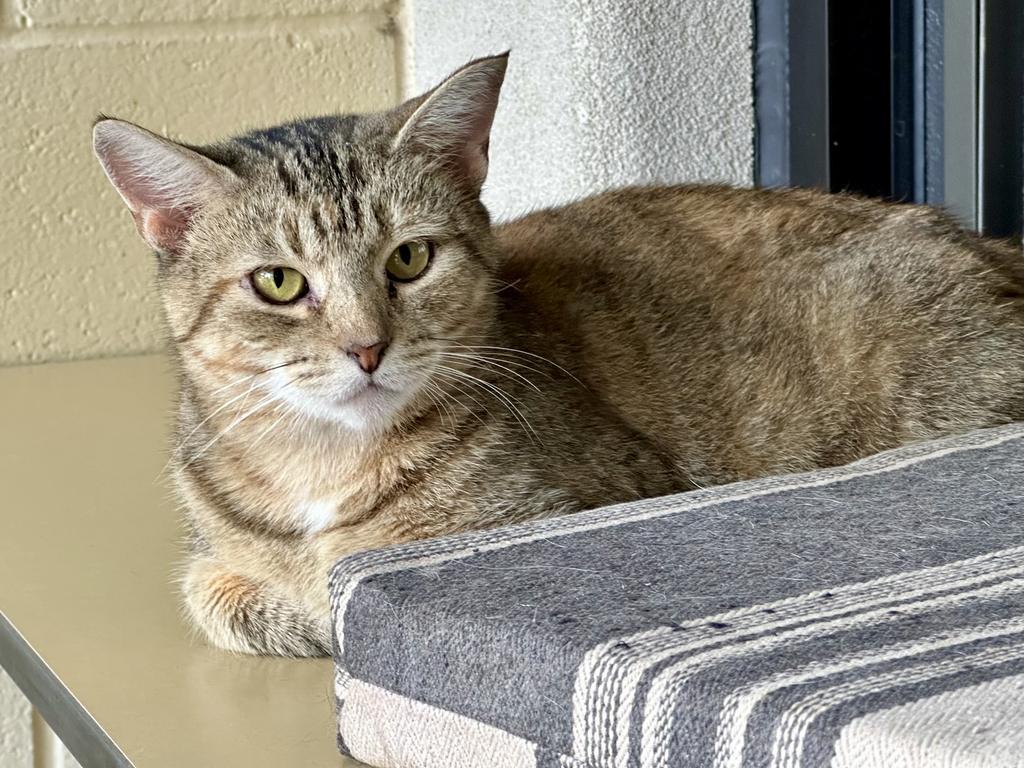 Duma Key thumbnail 6