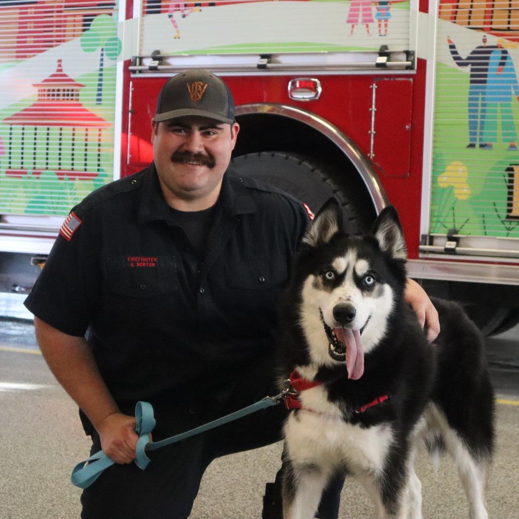 Enlarge Blu, a Adoptable Husky in Waukesha, WI image 6/6
