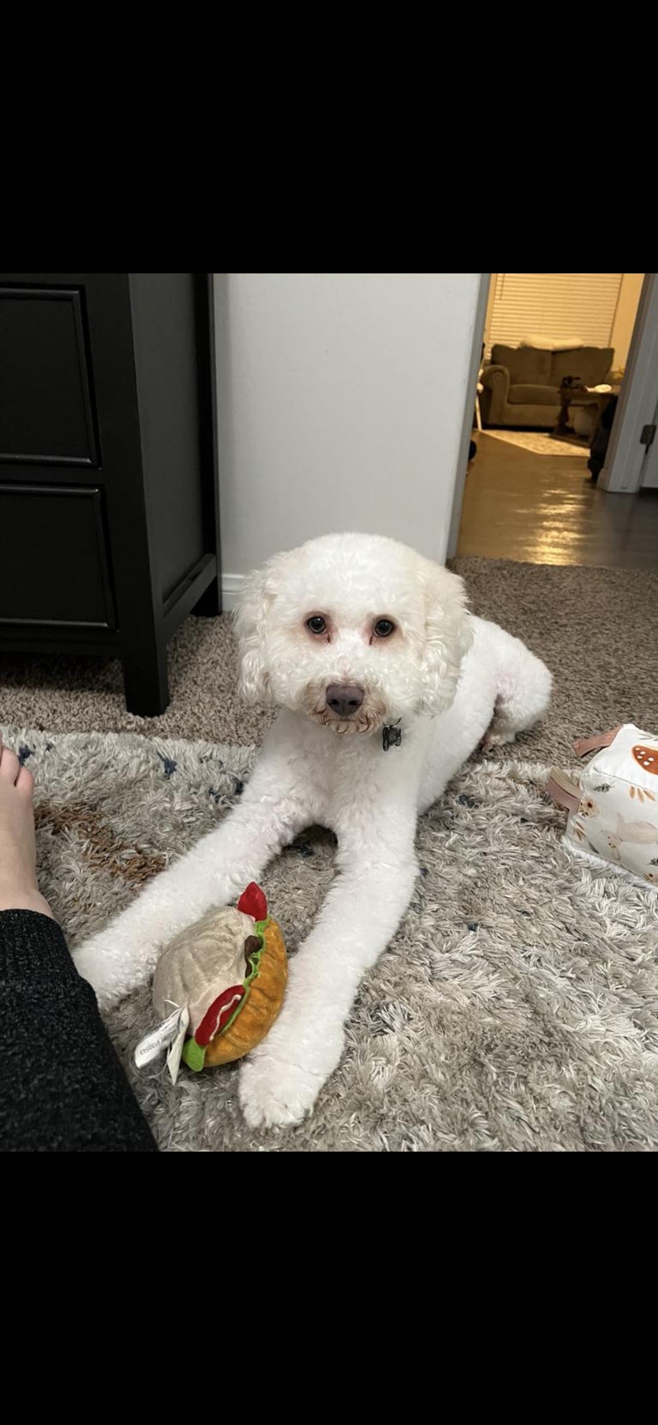 Milo  The Precious thumbnail 2