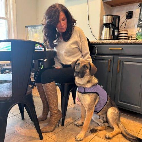 Enlarge Luna, a Adoptable mixed breed in Verona, NJ image 2/5