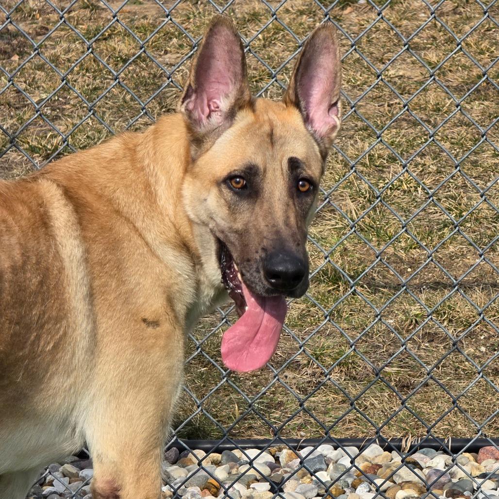 Rico — thumbnail 5