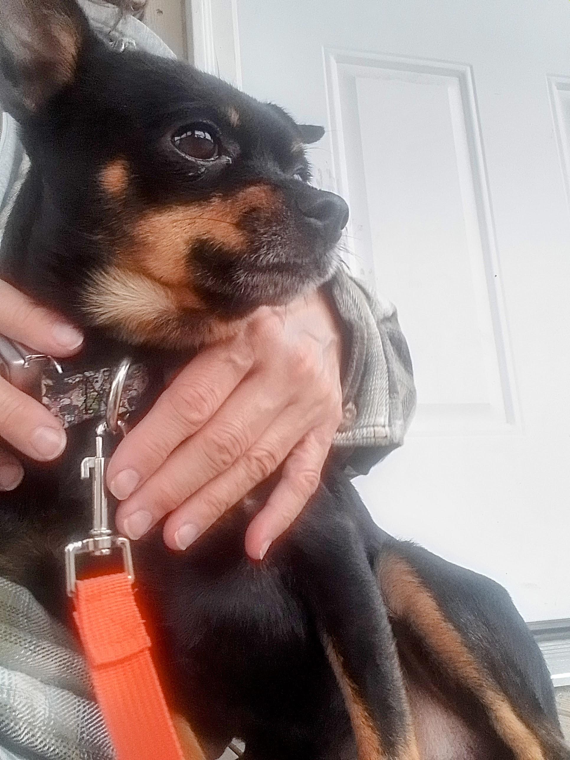 Chico