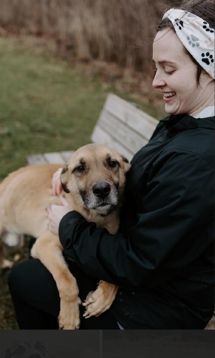 Enlarge Titan , an adoptable mixed breed in Elyria, OH image 4/5