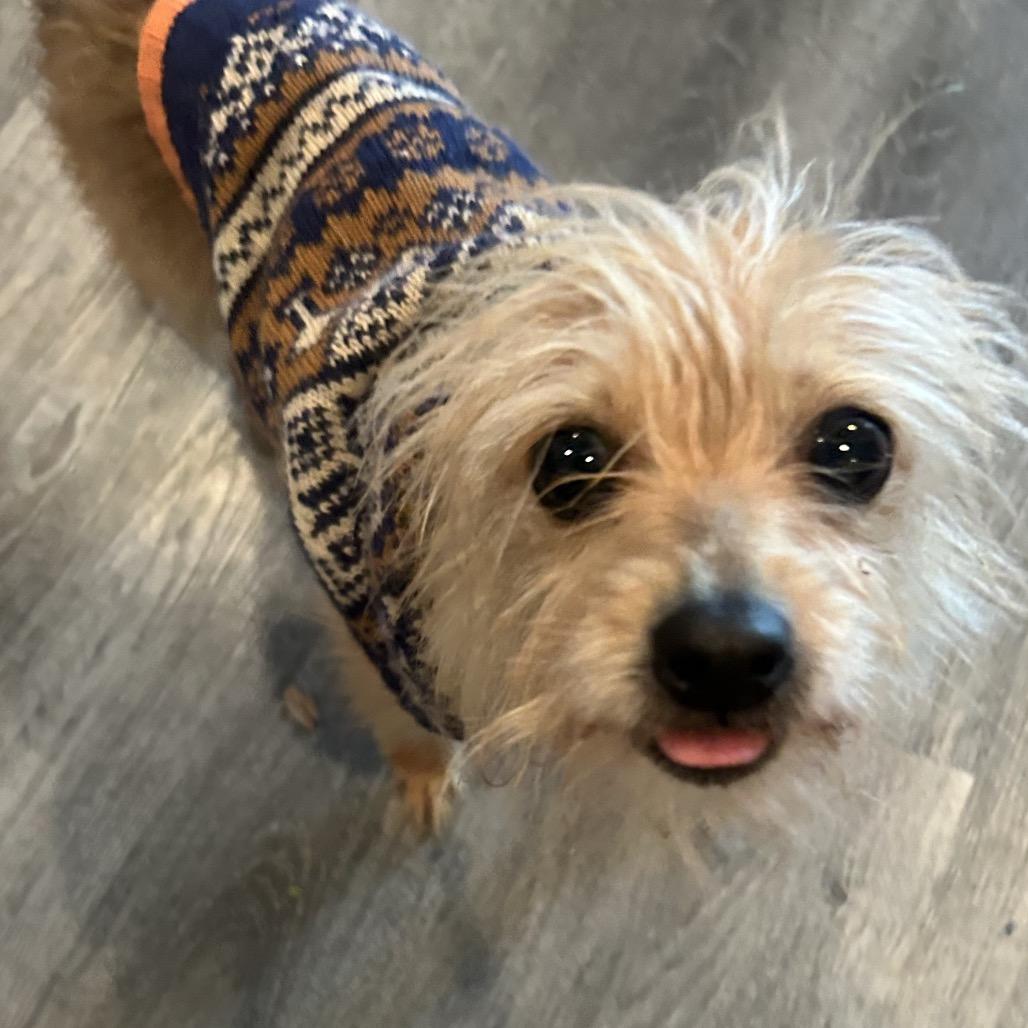 Bye Felicia — thumbnail 2