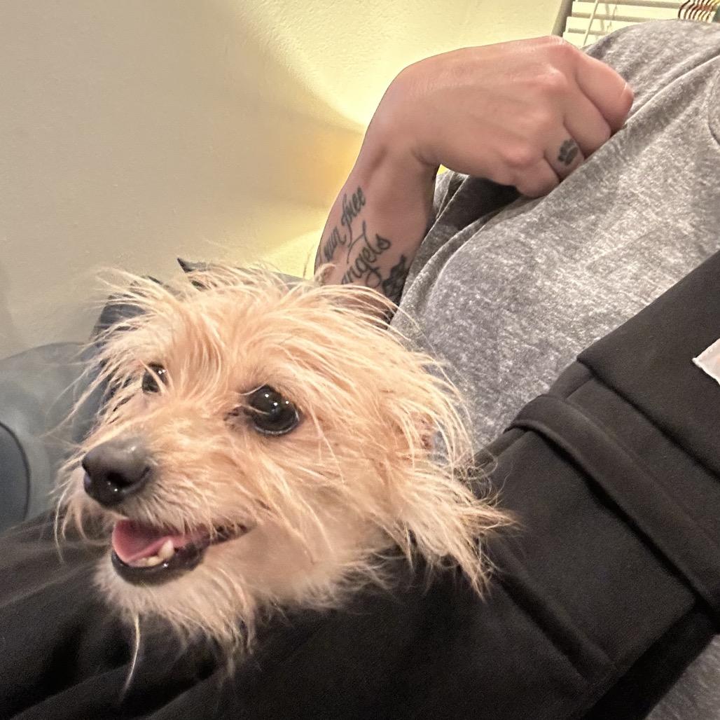 Bye Felicia — thumbnail 3