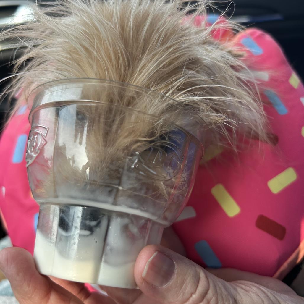 Bye Felicia — thumbnail 4