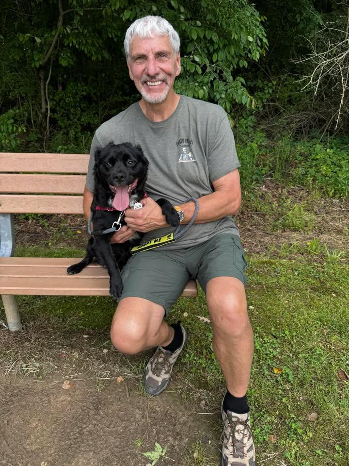 Elvis, a Adoptable mixed breed in Clayton, NC image 6/6