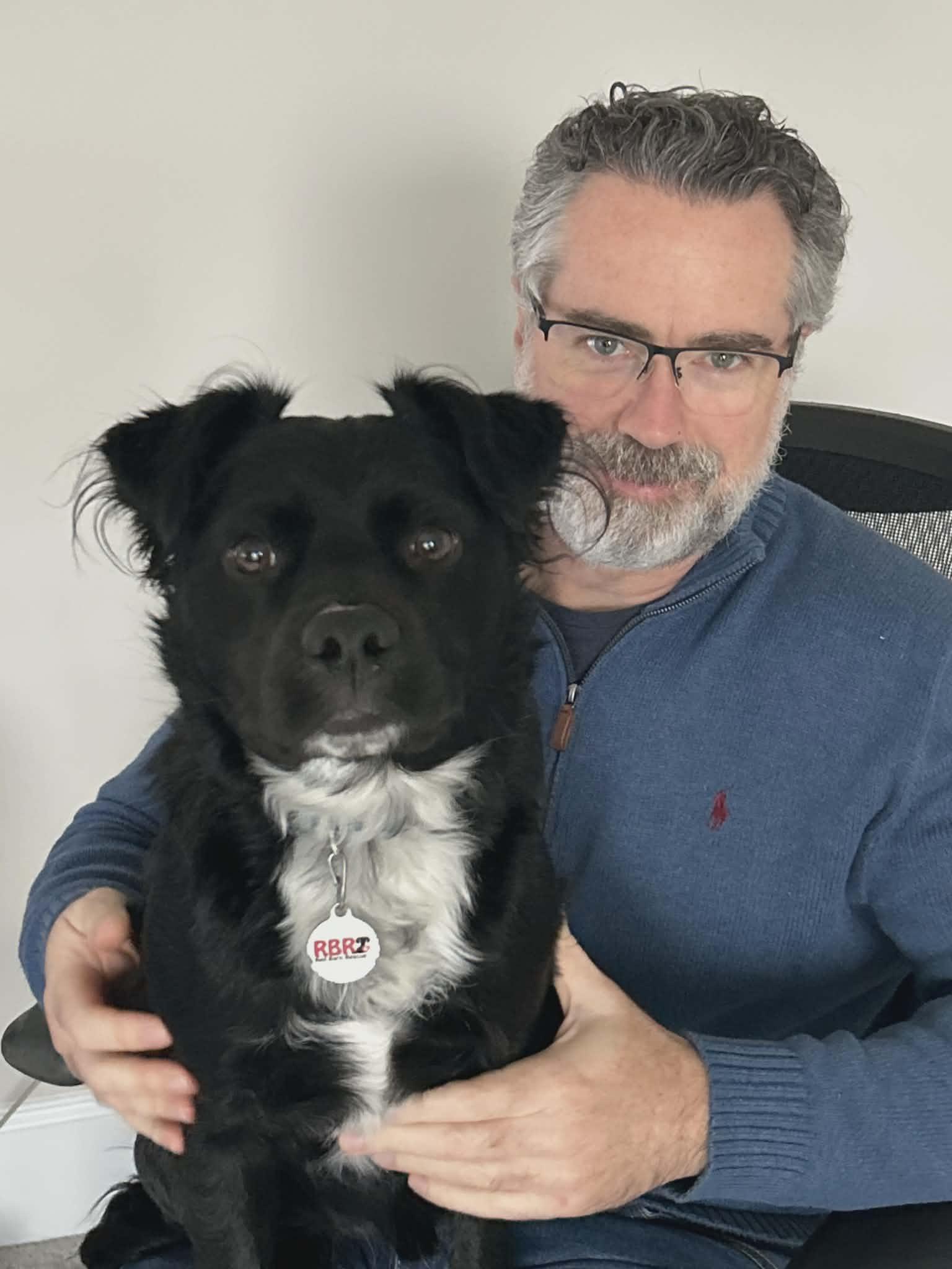 Elvis - IN FOSTER HOME - AVAILABLE TO ADOPT, a Adoptable mixed breed in Clayton, NC image 2/6