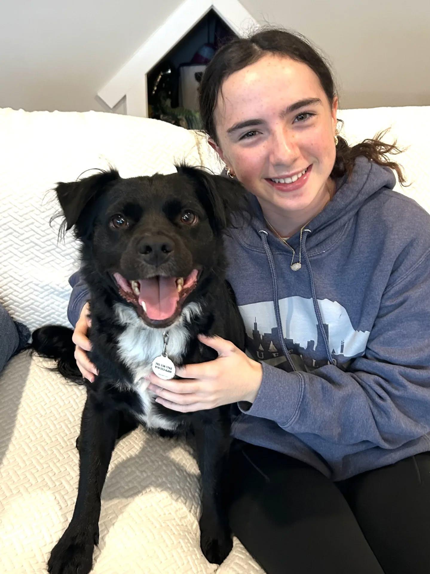 Elvis, a Adoptable mixed breed in Clayton, NC image 4/6