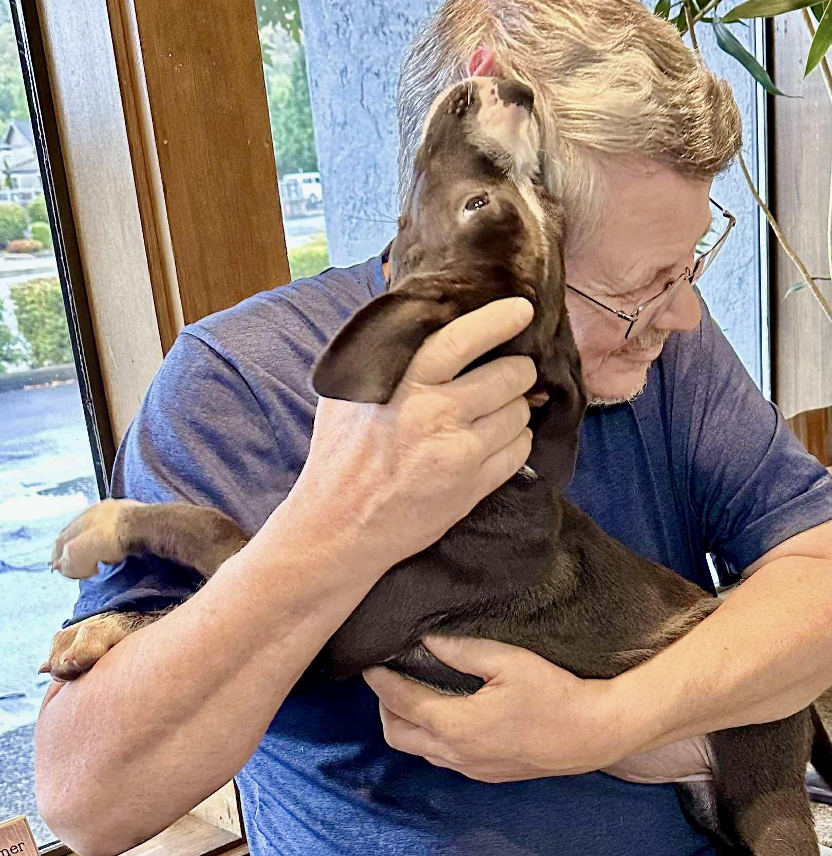 Belle, a Adoptable mixed breed in Roseburg, OR image 5/6